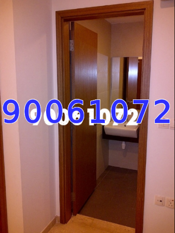 Imperial Heights (D15), Apartment #15342932